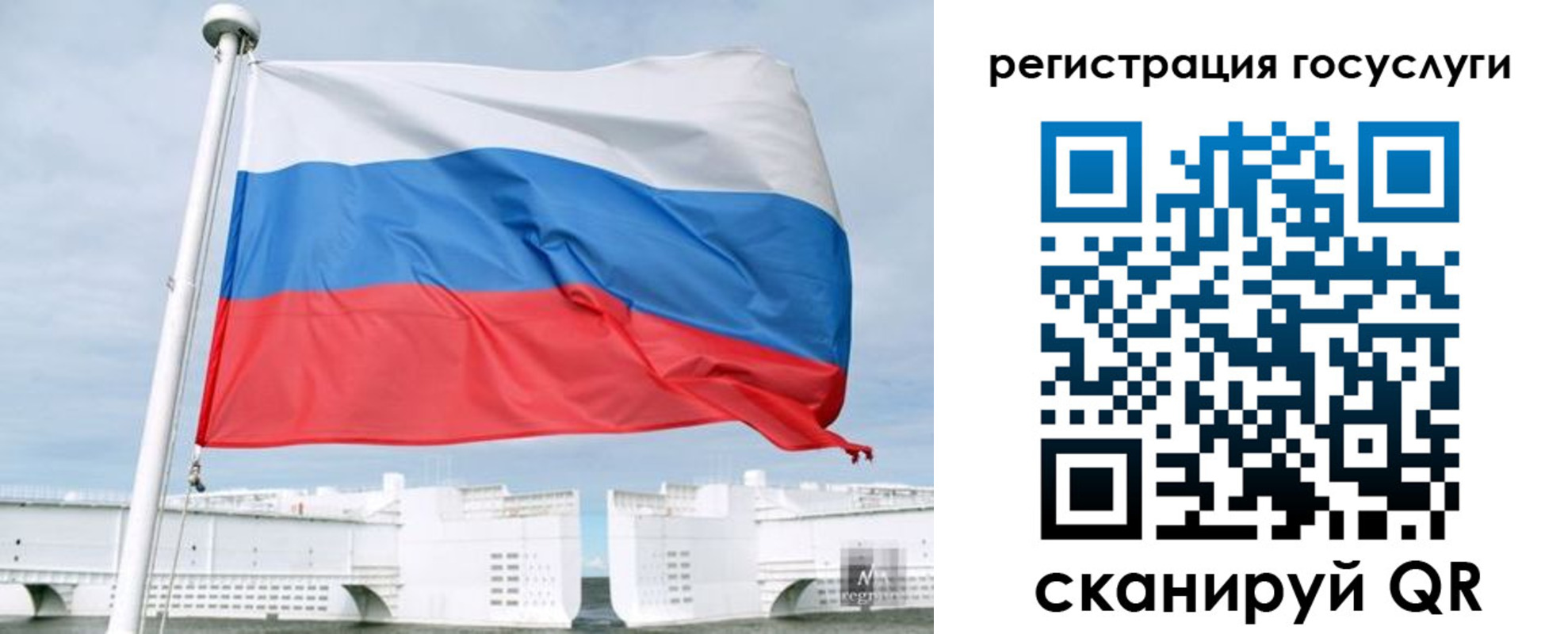 временная регистрация поиск в Ростовской области