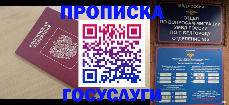 прописка законно в Ростовской области